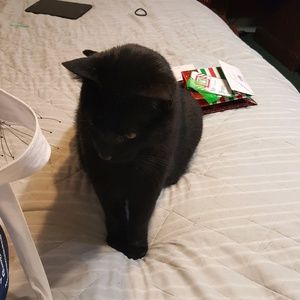 Meet your Posher, Linda